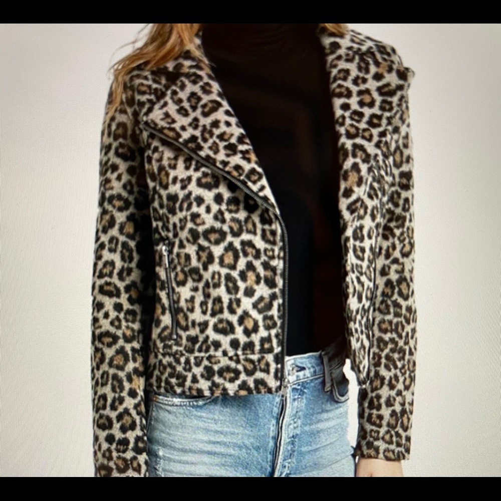 Cupcakes and Cashmere Moto Jacket